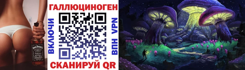продажа наркотиков  Приозерск  Псилоцибиновые грибы прущие грибы 