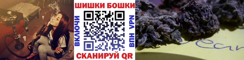 Бошки Шишки план  Приозерск 